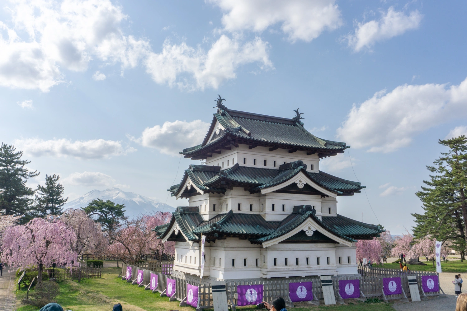 桜が別格すぎる「弘前公園」