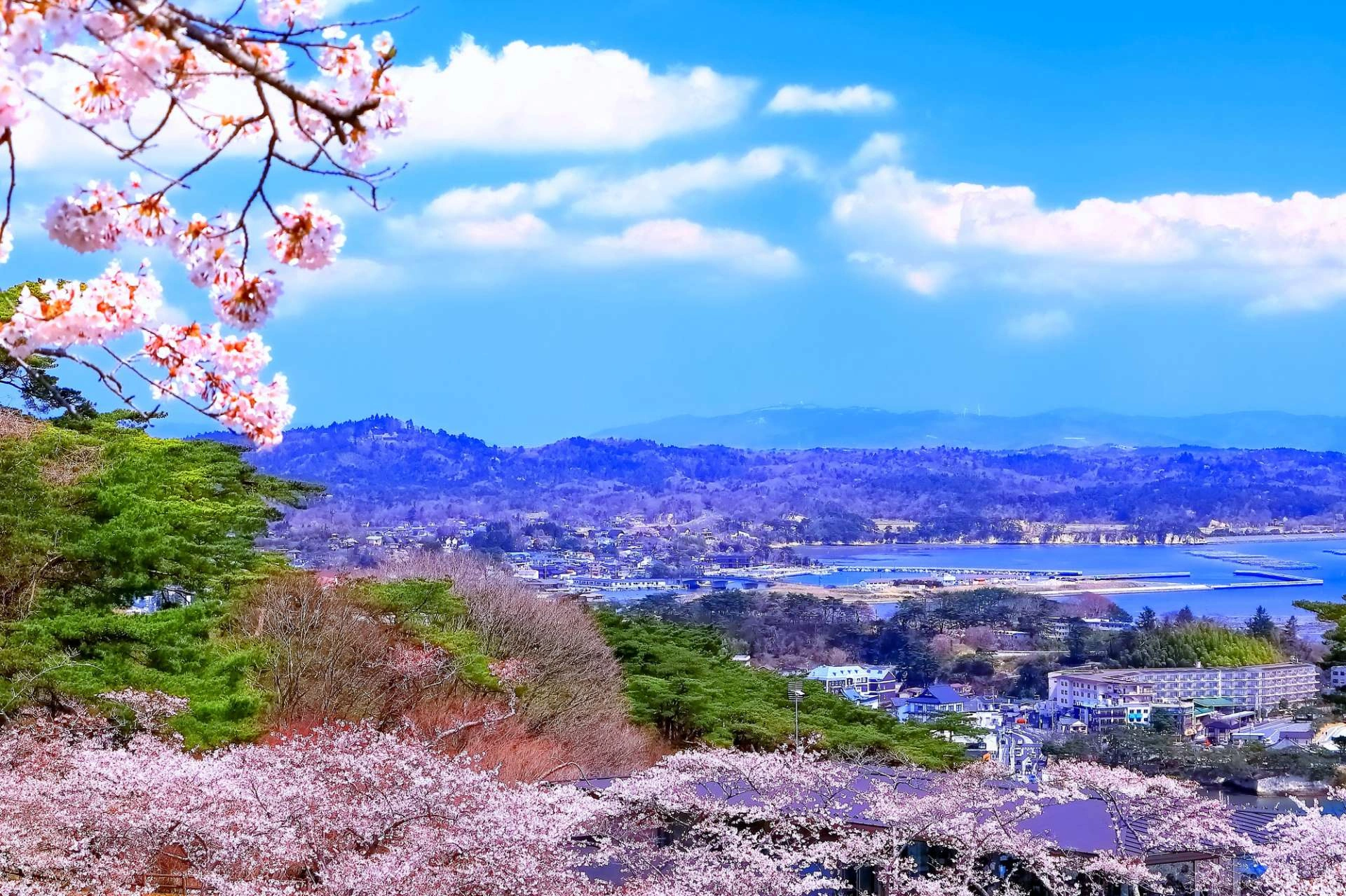 【日本三景】島々が浮かぶ絶景！絶対に外せない「松島」！