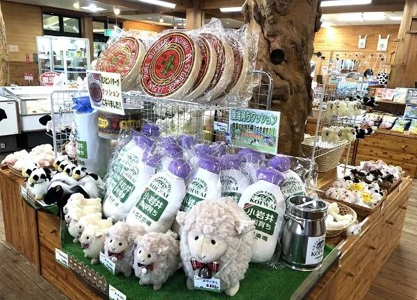 【大自然とふれあう！】雄大な岩手山を望む「小岩井農場」