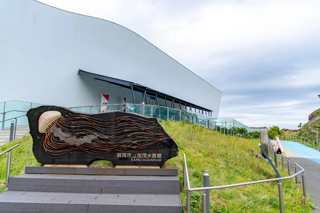 【クラゲ世界一】フワフワ空間で癒やされまくり！「加茂水族館」