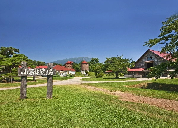 【大自然とふれあう！】雄大な岩手山を望む「小岩井農場」