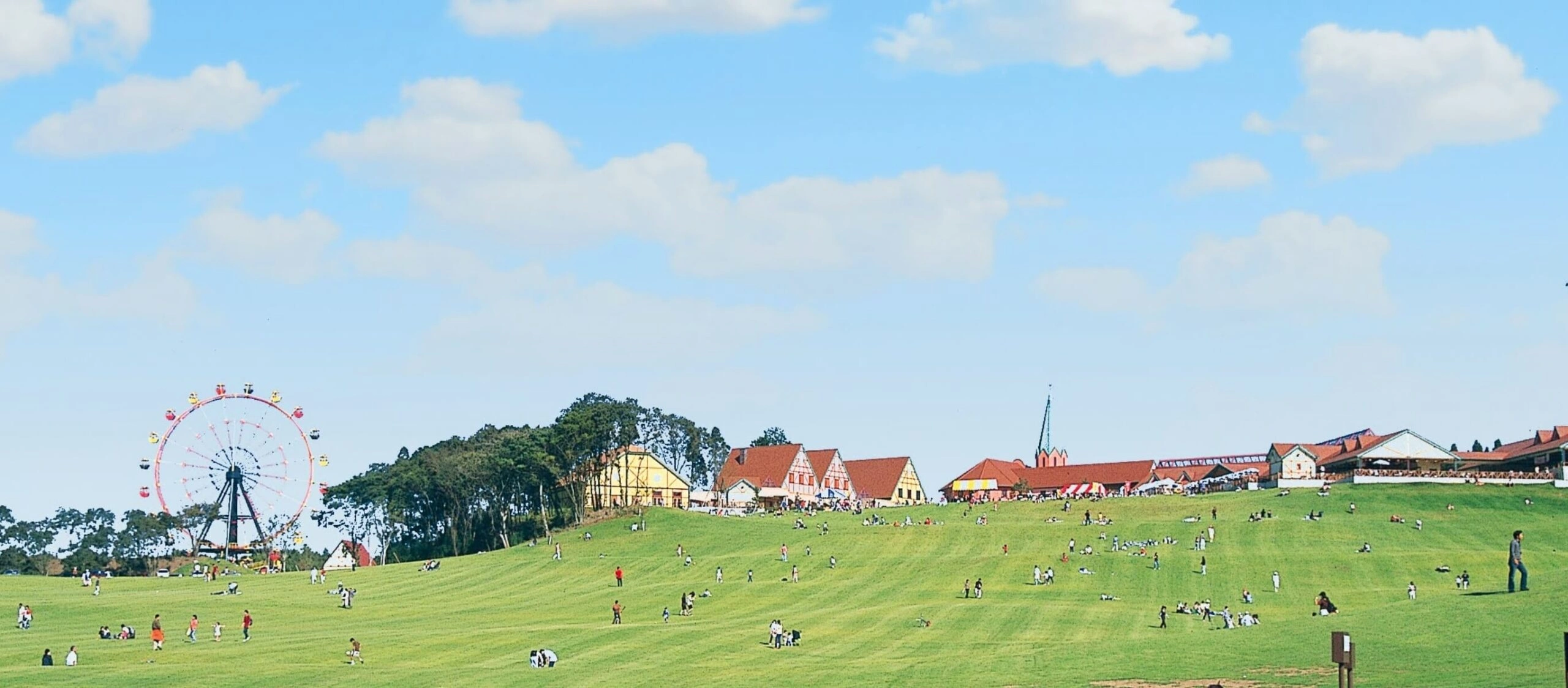 イルミがエグい！「東京ドイツ村」！