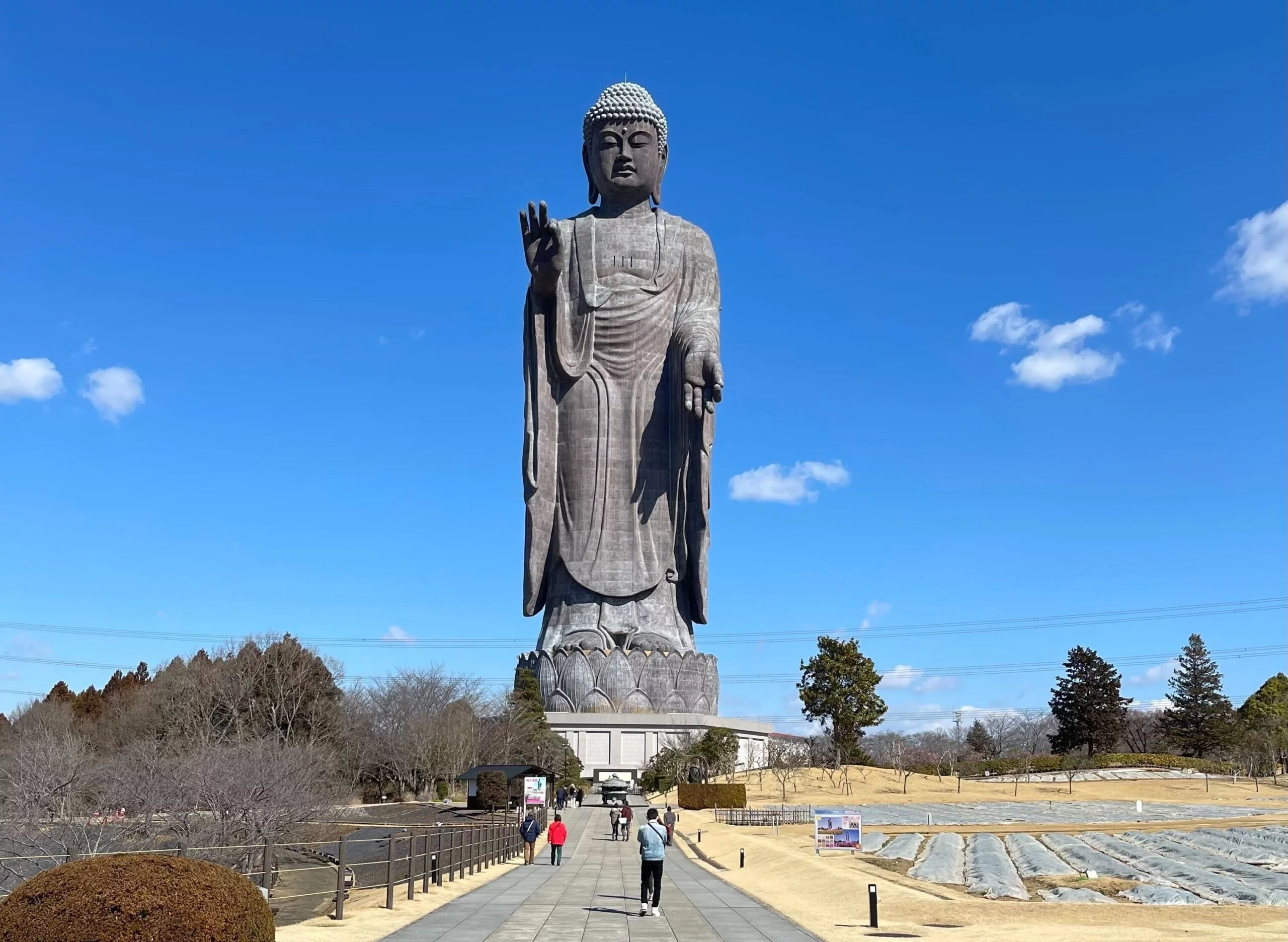 ギネス認定の巨大仏！「牛久大仏」！